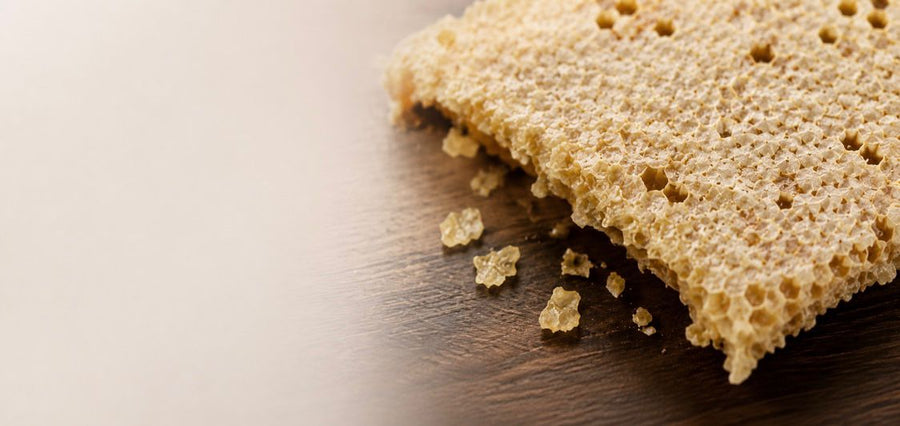Capping wax honeycomb close up